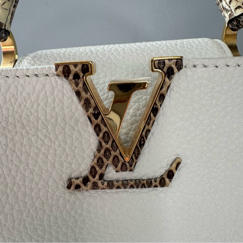 Louis Vuitton Taurillon & Python Leather Capucines Mini Handbag - Picture 2 of 16